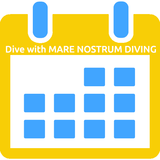 Fix and Appointment with Tatiana! 